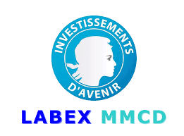 Labex MMCD